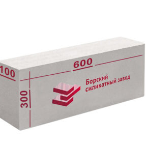 Газосиликатный блок D600 600х300х100